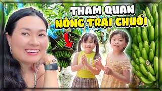 Trúc An Tv Cùng Mẹ Và Bạn Mộc Trà Tham Quan Nông Trại Chuối Rất Vui