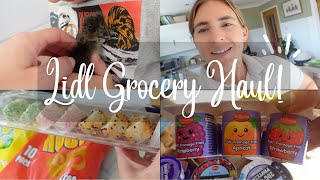 LIDL GROCERY HAUL | £64 | FAMILY OF 5