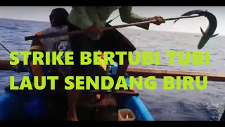 Strike Bertubi Tubi di laut Sendang biru - Mancing Mania Ala SOs