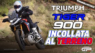 Prova Tiger 900 2024: incollata al terreno!