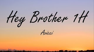 Avicii - Hey Brother 1H