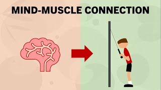 Influence of the Mind-Muscle Connection on Hypertrophy | Attentional Focus for Muscle Growth