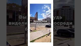 А Вы когда нибудь видели такое? #приколы #тикток #юмор