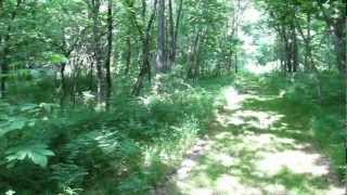 2012trip14 - Mine Creek Battlefield