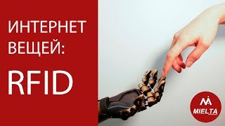 Что такое Интернет вещей: RFID