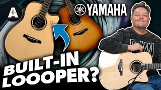 Acoustic Guitar with Built-In Looper & FX, No Speaker Required? - Yamaha TAG3C