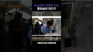 5kg 파인애플 깡통을 들어올리는 붙임머리/증모술이 있다???