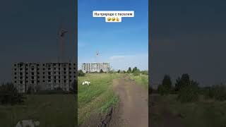 На природе с песелем