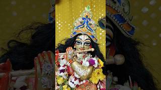 Daily Wonderful Radha Madhava Darshan #isckon #wonderful #radhakrishna #darshan #Radha_Madhav