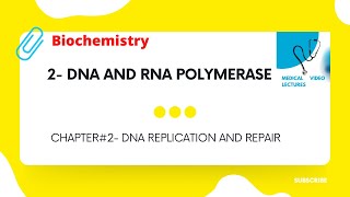 DNA and RNA polymerase | CHAPTER#2- DNA REPLICATION AND REPAIR