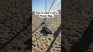 Definition of a Power Nap 😴 💪 #reels #gymmotivation #gymhumor #fitness #musclebeach #calisthenics