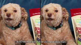 Yitto Paws organic, human grade dog treats have more fruit & peanut butter than other top brands.