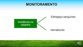 ANAPLASMOSE BOVINA: Tratamento