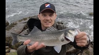 Lure Fishing for Bass | First Bass of the Season #ukbassfishing#lurefishingforbass#ukshorefishing