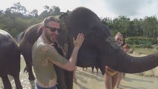 Getting into the mud at the Elephant Jungle Sanctuary - March 2018