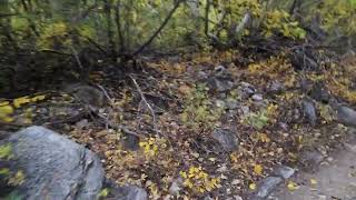 Twin Lakes to Barney Lake Trailhead #hiking #hike #hiker #california #usa #roadtrip #sierranevada