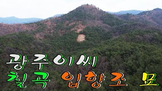 수암의 풍수기행 제 265화 이지 묘