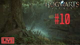 Hogwarts Legacy | Part 10 Starting Story | Live Stream Full Walkthrough RoyALGaMzoYt