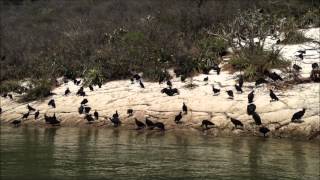 Mexico - Parque nacional Cañón del Sumidero