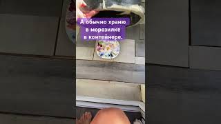 ЛЕНЬ - она моя🫤🤪#художник #масло #арт #живопись #shorts #shortvideo