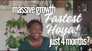 MY 5 FASTEST GROWING HOYAS!