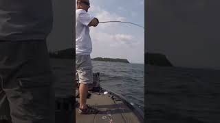 Nothing like a laker chasing a swimbait from 100’ down