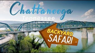 Backyard Safari: Chattanooga, TN