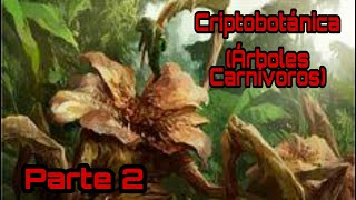 Criptobotánica |Parte 2|Árbol Carnívoro De Madagascar,Yate-Veo & Árbol Diablo|Criptidos A La Vista|