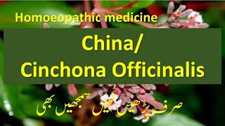 Lecture on China/ Cinchona officinalis for treatment of fevers like malaria #homeopathictreatment