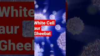 Gheebat Aur White Cell