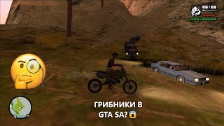 Я нашел странных людей в лесу GTA! Кто это такие?