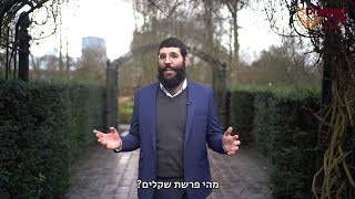 חצי זה השלם החדש | כמעט שבת שלום מרכז אמסטרדם | פרשת משפטים