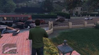 GTA NPC's Be Wildin'