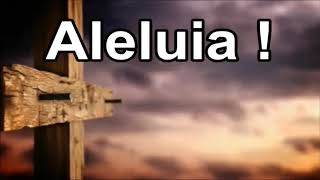 Agnus Dei (PLAYBACK C/ LETRA)