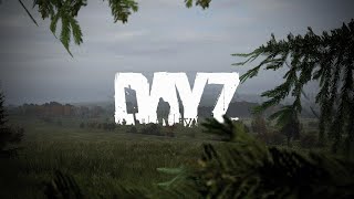 Стараемся не откиснуть / Dayz