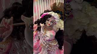 radhe radhe #shortfeed