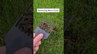 #lawncare Cheap and easy way to remove worm casts from your lawn! #lawncare #law