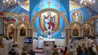 4 August 2024 - English Liturgy