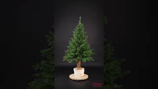 Świerk Prestige na pniu 100%PE 185cm #christmastree