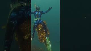 Wreck diving in the Fiordland #shortvideo #diving #kina #wreckdiving