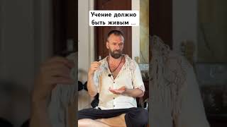 Учение должно быть живым … #пробуждение #духовность #просветление