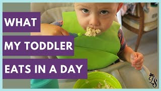 What My Toddler Eats In A Day