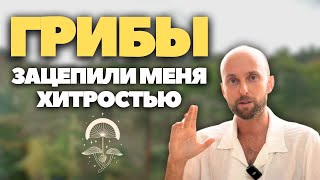 Мои впечатления после РЕТРИТА: КАК ГРИБЫ НАХОДЯТ ПОДХОД К КАЖДОМУ ЧЕЛОВЕКУ?