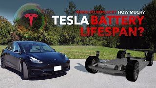 Tesla Model Y & 3 - Battery Lifespan - How long will it last? How much to replace the modules?