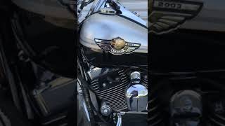 3.0 UltraCool Oil Cooler and FLO Oil Filter on 2003 Harley Davidson Softail