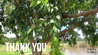 Thank you | Kehlani | Pirita Tuisku | Thabo Mokolobate