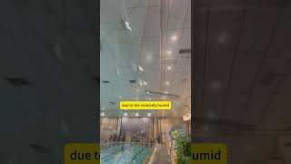 This is using aluminum Composite panels as the ceiling for the swimming pool