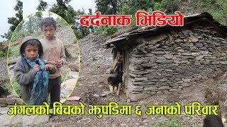 दर्दनाक कथा || जंगलको झुपडिमा बाख्रा संगै सुत्छन ६ जनाको परिवार || Painful Story of poor prople