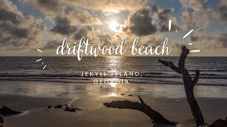 Jekyll Island Driftwood Beach | A Walk Through Driftwood Beach