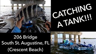 Catching BIG Sheepshead in south St. Augustine (Crescent Beach), FL on the Kayak